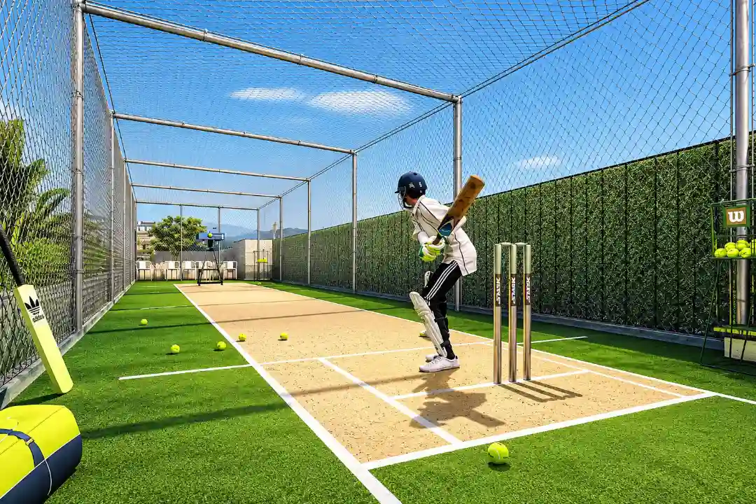 Cricket Court